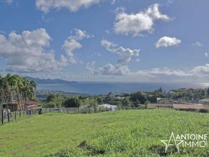 Schoelcher - Hauteurs de Terreville -  Terrain de 1556 m²