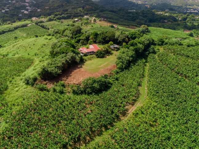EXCLUSIVITE - PROPRIETE D'EXCEPTION - SOUS OFFRE EN 10 JOURS.   - 1 150 000.   €